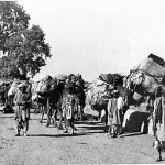 afghan caravan at khyber 1920